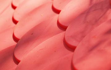 Throckenholt plastic roof costs