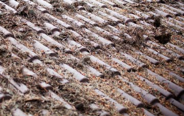 Throckenholt roof cleaning companies