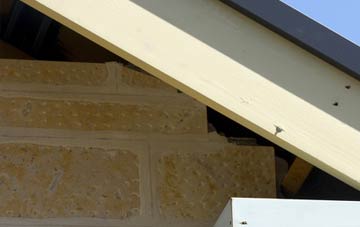 soffit repair Throckenholt