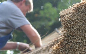 professional Throckenholt thatchers