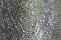 Throckenholt fibreglass roof work